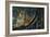 Jaguar by the River-Harro Maass-Framed Giclee Print