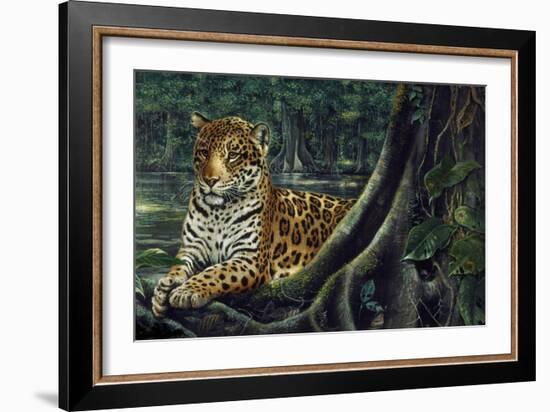 Jaguar by the River-Harro Maass-Framed Giclee Print