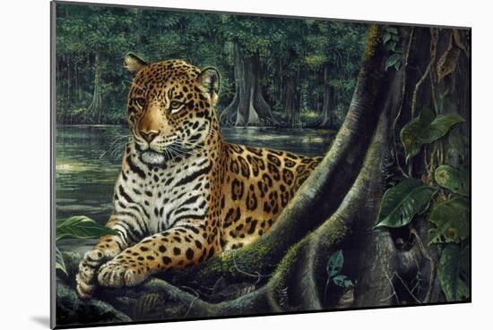 Jaguar by the River-Harro Maass-Mounted Giclee Print
