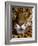 Jaguar Face (Panthera Onca), Amazon Basin, Peru-Andres Morya Hinojosa-Framed Photographic Print