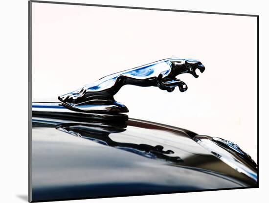 Jaguar hood ornament-Clive Branson-Mounted Photo