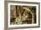 Jaguar, Loro Parque, Tenerife, Canary Islands, 2007-Peter Thompson-Framed Photographic Print