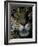 Jaguar, Madre de Dios, Peru-Andres Morya-Framed Photographic Print