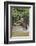 Jaguar male, hunting Capybara. Cuiaba River, Pantanal, Brazil-Jeff Foott-Framed Photographic Print