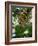 Jaguar (Panthera Onca), Central America Jaguar (Panthera Onca) Linnaeus, Costa Rica-Andres Morya Hinojosa-Framed Photographic Print