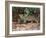 Jaguar (Panthera onca), Pantanal Wetlands, Brazil-null-Framed Photographic Print