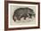 Jaguar, Presented by Her Majesty to the Zoological Society-null-Framed Giclee Print