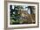 Jaguar Side View, Sitting in a Tree, Close Up-null-Framed Photographic Print