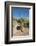 Jaguar walking along a trail in La Papalota, Mexico-Alejandro Prieto-Framed Photographic Print