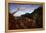 Jaguar walking over rocky hillside, Mexico-Alejandro Prieto-Framed Premier Image Canvas