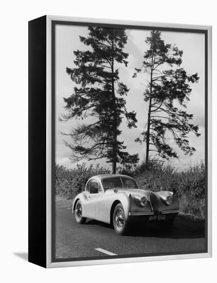 Jaguar XK120 Hardtop-null-Framed Premier Image Canvas