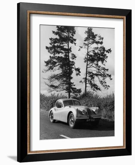 Jaguar XK120 Hardtop-null-Framed Photographic Print