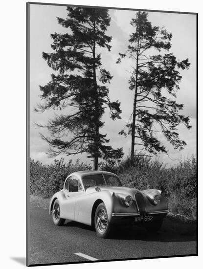 Jaguar XK120 Hardtop-null-Mounted Photographic Print