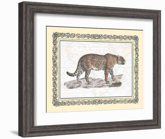 Jaguar-null-Framed Art Print