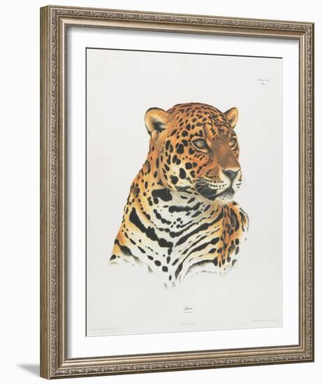 Jaguar-Sean Bollar-Framed Collectable Print