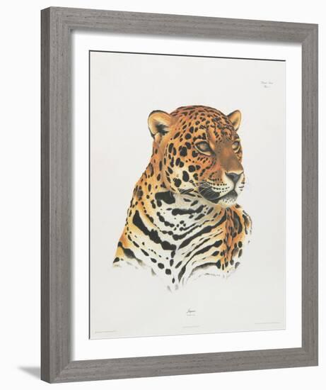 Jaguar-Sean Bollar-Framed Collectable Print