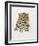 Jaguar-Sean Bollar-Framed Collectable Print