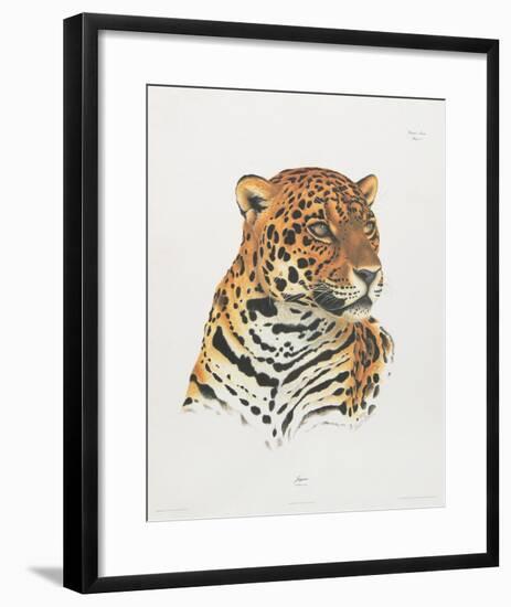 Jaguar-Sean Bollar-Framed Collectable Print