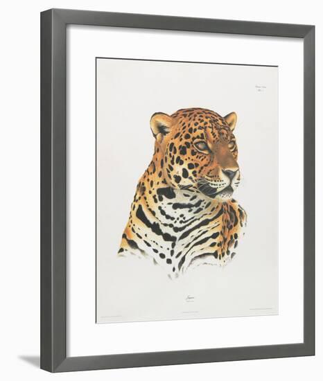 Jaguar-Sean Bollar-Framed Collectable Print