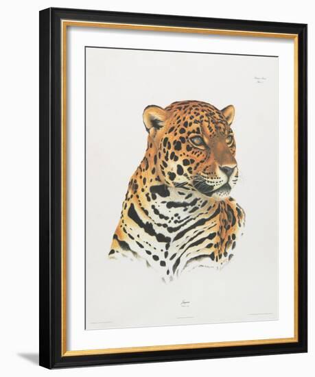 Jaguar-Sean Bollar-Framed Collectable Print