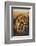 Jaguar-DLILLC-Framed Photographic Print