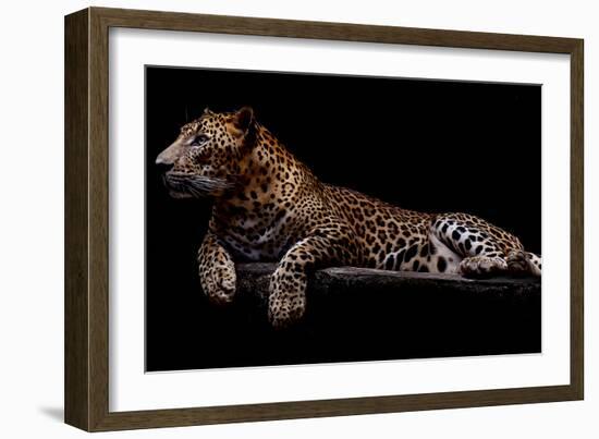 Jaguar-yulius handoko-Framed Photographic Print