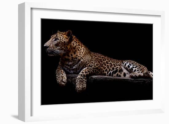 Jaguar-yulius handoko-Framed Photographic Print