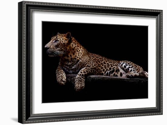 Jaguar-yulius handoko-Framed Photographic Print