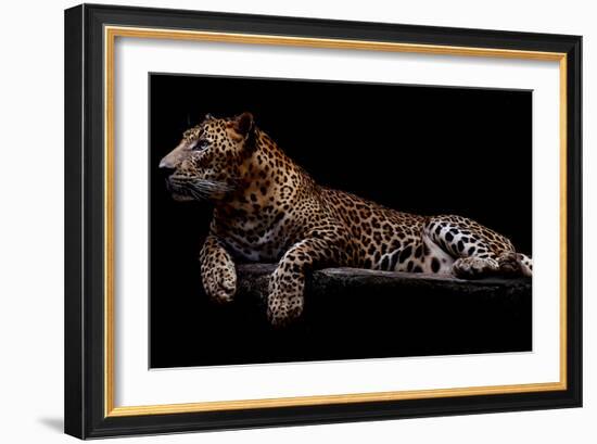 Jaguar-yulius handoko-Framed Photographic Print