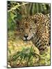 Jaguar-null-Mounted Photographic Print