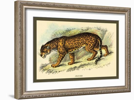 Jaguar-Sir William Jardine-Framed Art Print