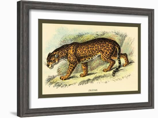 Jaguar-Sir William Jardine-Framed Art Print