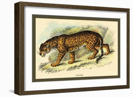 Jaguar-Sir William Jardine-Framed Art Print