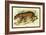 Jaguar-Sir William Jardine-Framed Art Print