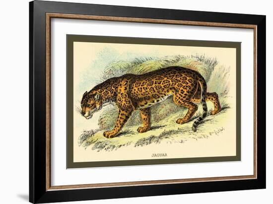 Jaguar-Sir William Jardine-Framed Art Print