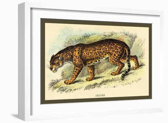 Jaguar-Sir William Jardine-Framed Art Print