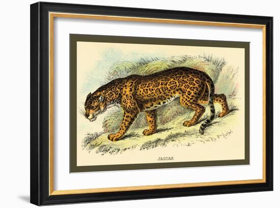 Jaguar-Sir William Jardine-Framed Art Print