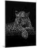 Jaguar-Geraldine Aikman-Mounted Giclee Print