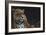 Jaguar-Durwood Coffey-Framed Giclee Print