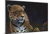 Jaguar-Durwood Coffey-Mounted Giclee Print