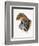 Jaguarundi-Barbara Keith-Framed Giclee Print