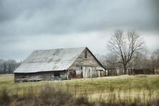 Red Barn at the Cotton Field-Jai Johnson-Giclee Print
