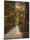 Photographic Print