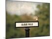 Premium Giclee Print