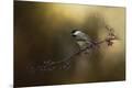 Premium Giclee Print