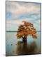 Photographic Print