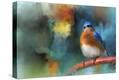 Stretched Canvas Print