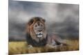 Premium Giclee Print