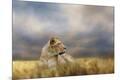 Premium Giclee Print