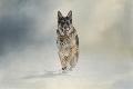 Giclee Print
